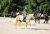 Samstag E Dressur