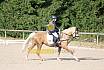 Samstag E Dressur