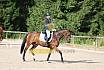 Samstag E Dressur
