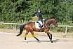 Samstag E Dressur