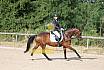 Samstag E Dressur
