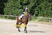 Samstag E Dressur