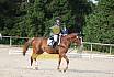 Samstag E Dressur