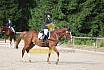 Samstag E Dressur