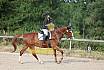 Samstag E Dressur