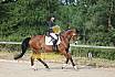 Samstag E Dressur