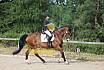 Samstag E Dressur