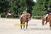 Samstag E Dressur