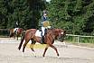 Samstag E Dressur
