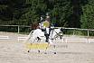 Samstag E Dressur