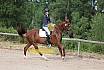 Samstag E Dressur