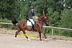 Samstag E Dressur