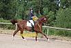 Samstag E Dressur