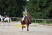 Samstag E Dressur