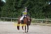 Samstag E Dressur