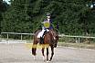 Samstag E Dressur