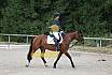 Samstag E Dressur