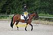 Samstag E Dressur