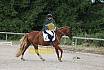 Samstag E Dressur