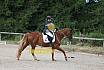 Samstag E Dressur