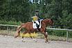 Samstag E Dressur
