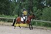 Samstag E Dressur