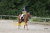 Samstag E Dressur