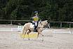 Samstag E Dressur
