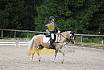 Samstag E Dressur