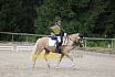 Samstag E Dressur