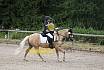 Samstag E Dressur