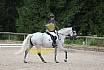 Samstag E Dressur