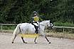 Samstag E Dressur