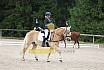 Samstag E Dressur