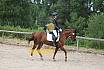Samstag E Dressur