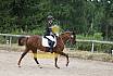 Samstag E Dressur