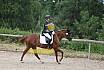 Samstag E Dressur