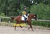 Samstag E Dressur