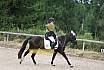 Samstag E Dressur