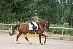 Samstag E Dressur