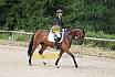 Samstag E Dressur
