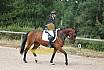 Samstag E Dressur