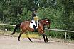 Samstag E Dressur