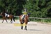 Samstag E Dressur