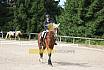 Samstag E Dressur