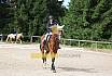 Samstag E Dressur
