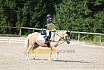 Samstag E Dressur