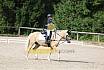 Samstag E Dressur