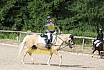 Samstag E Dressur