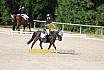 Samstag E Dressur